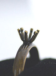 s-acag139