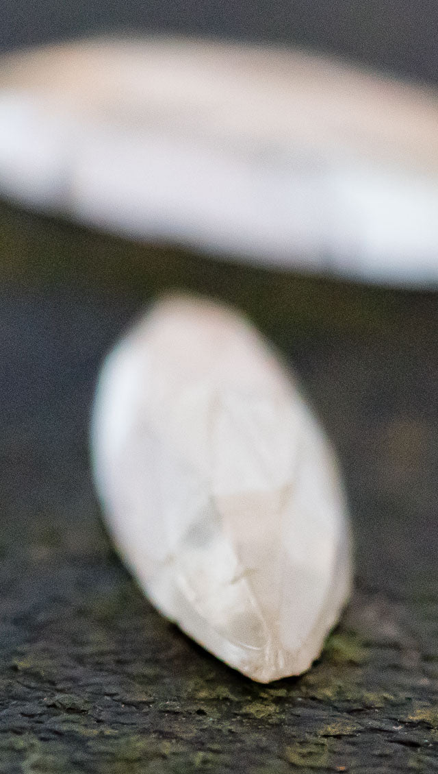 v-cbwt1124