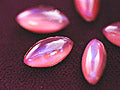 v-dbpk013