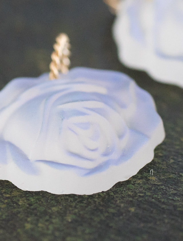 v-gswt981