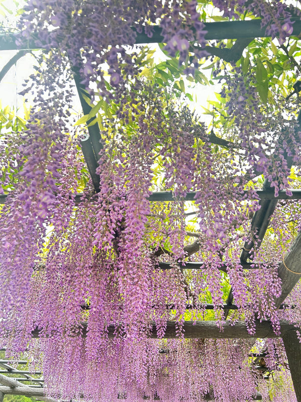 藤の花をイメージしたヴィンテージアクセサリー＊レミース横浜店