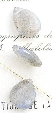 c-nsgy010