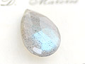 c-nsgy017