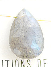 c-nsgy018