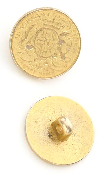 v-btgd073