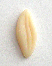 v-cbbw005