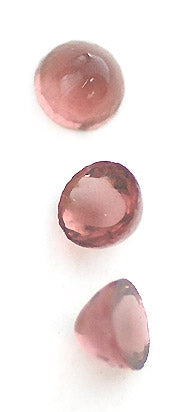 v-cbpl631