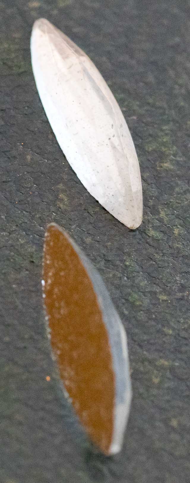 v-cbwt1124