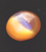 v-dbbw008