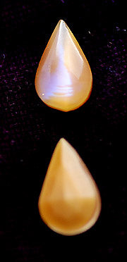 v-dbbw009