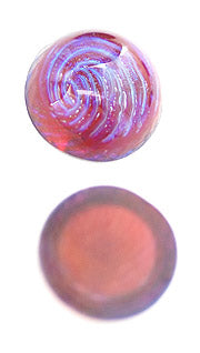 v-dbpk010
