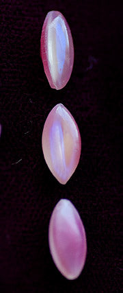 v-dbpk012