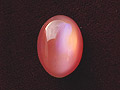 v-dbpk017