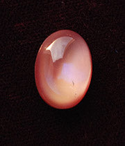 v-dbpk018