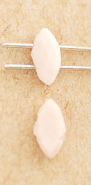 v-gspk165