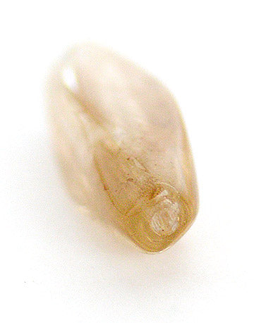 v-lcbw462