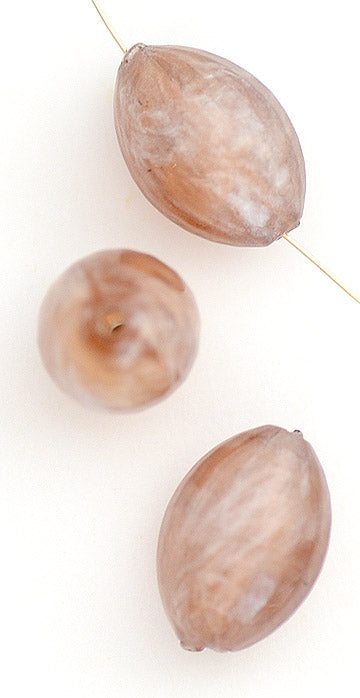 v-lcbw485