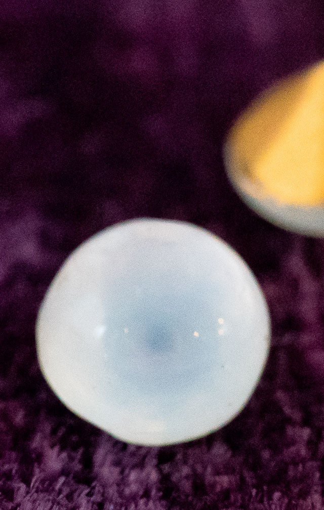 v-snbl980