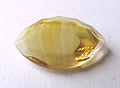 v-snbw200