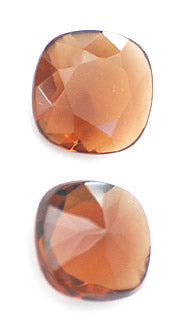 v-snbw309