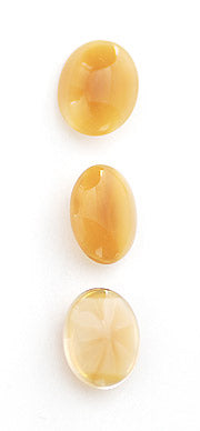 v-snbw331