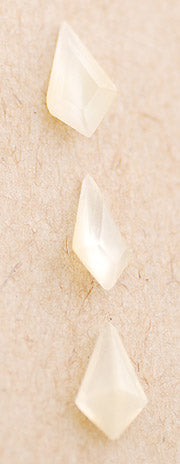 v-snbw349
