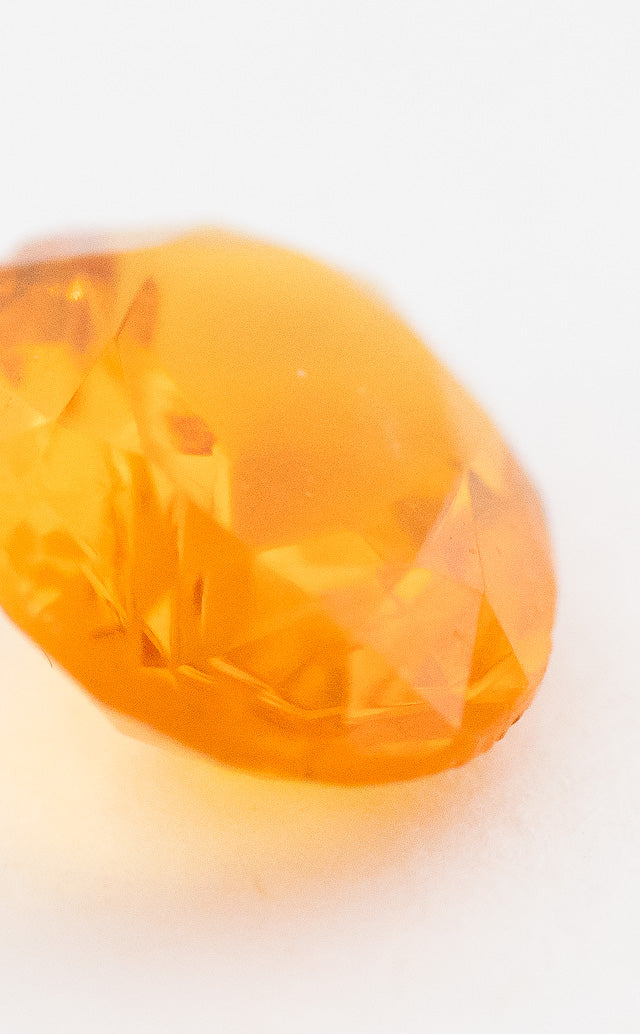 v-snbw493