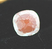 v-spbl010