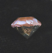 v-sppl003