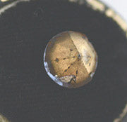 v-sppl005